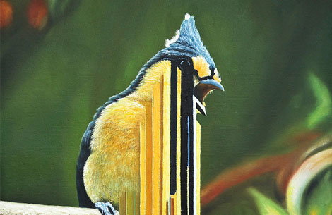 bird.jpg