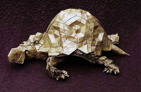 turtle.jpg