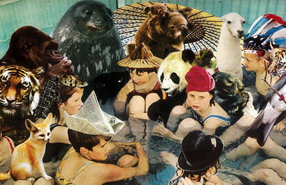 Panda-Bear.jpg