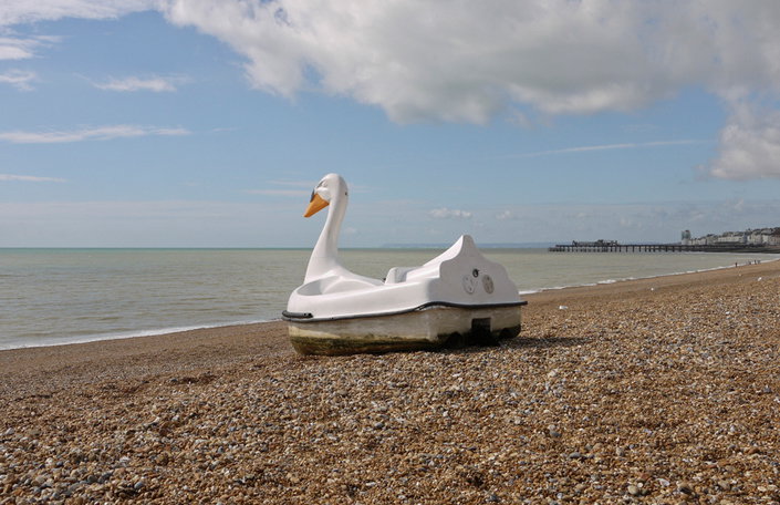swan2.jpg