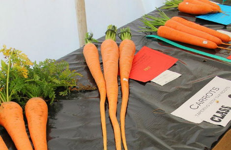 The Royal Welsh Agricultural Show