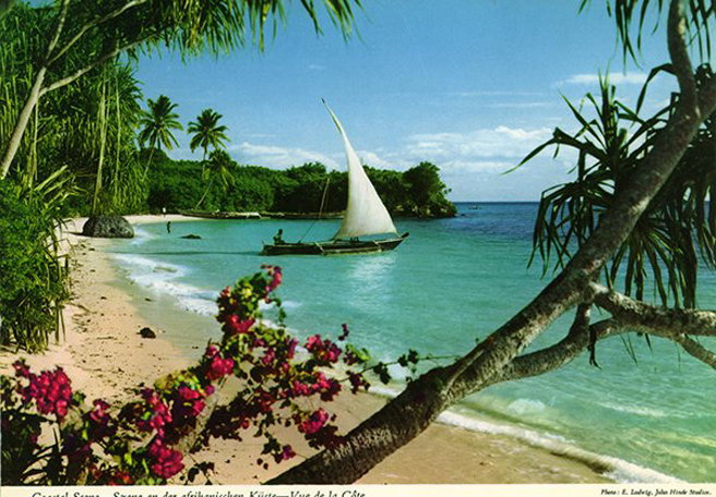 af21.jpg
