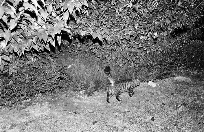 67_bw_0217_02.jpg