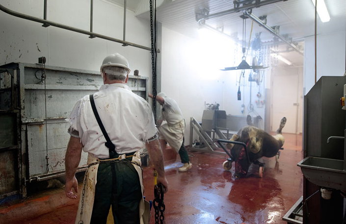 slaughter_men-02.jpg