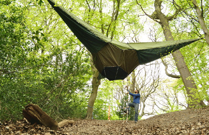 1_Tentsile_from_Below_600_x_900.jpg