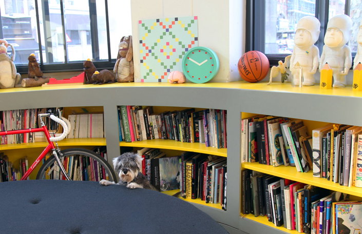 Nexus_Bookshelf.jpg