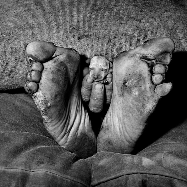 roger-ballen-5.jpg