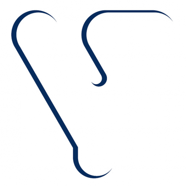 A minimalist illustration of two dark blue lines on a white background. The curved lines suggest the abstract profile of a human face.