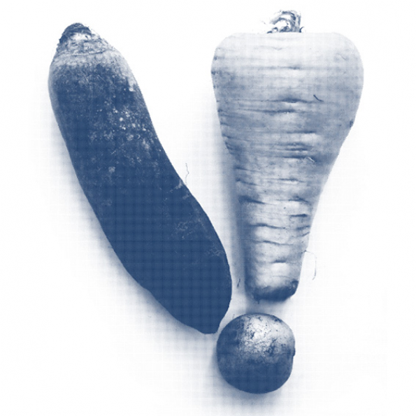 A dark carrot, a pale parsnip and a small potato are arranged on a white background. Together, the vegetables form the shape of an exclamation mark.