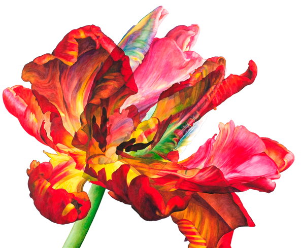 rosie-sanders-1.jpg