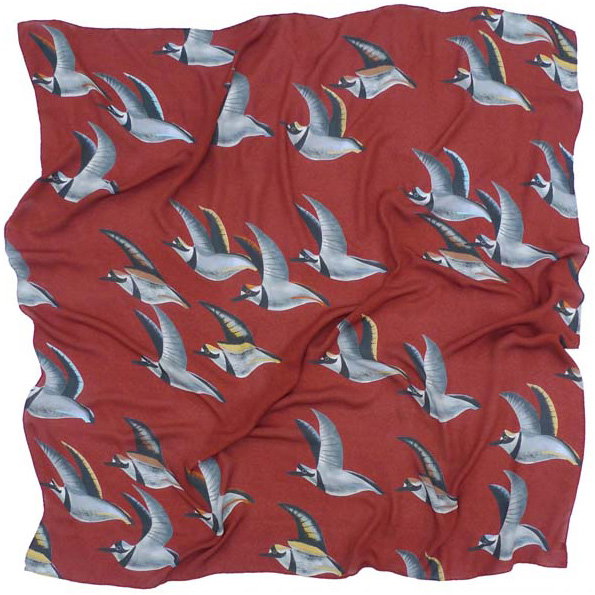 plover.jpg