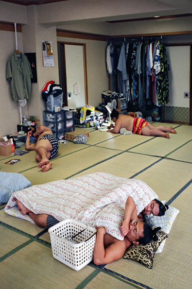 Sumo2.png