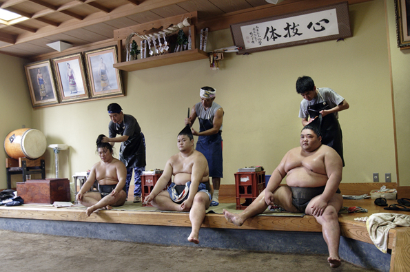 Sumo8.png