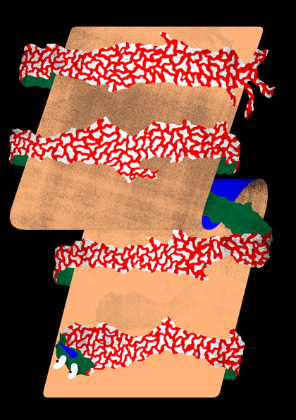 anton-weflo-4.jpg