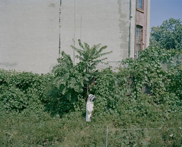 A white shoe rests upright in a patch of overgrown green weeds and shrubs. Behind the foliage, a plain grey wall and the side of a brick building rise under a clear blue sky.