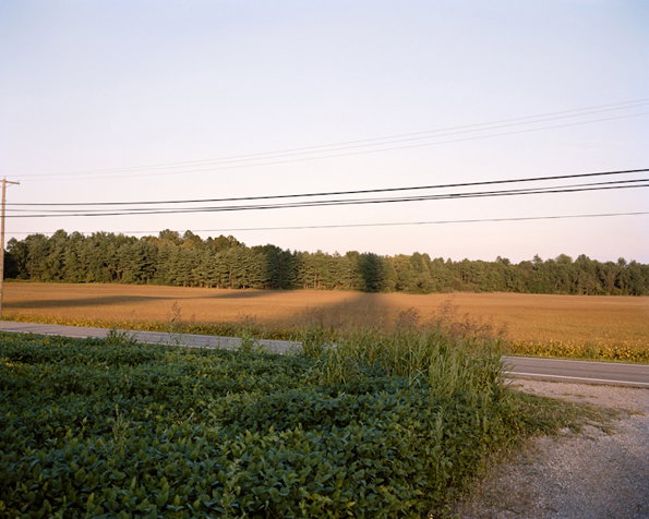 daniel-shea-14.jpg