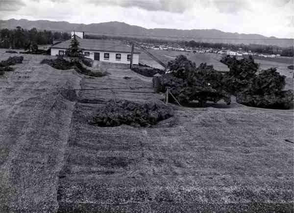 image005.jpg