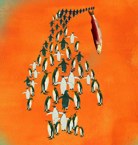 penguin.jpg