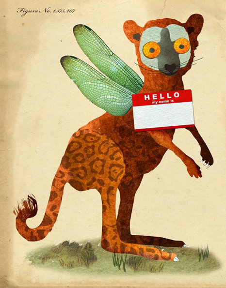 species.jpg
