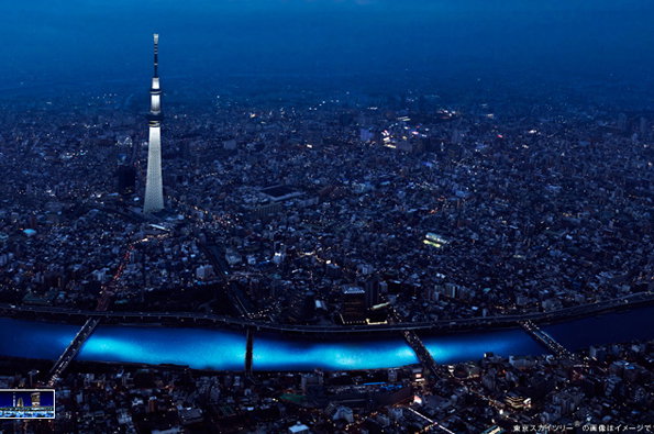 tokyo-hotaru-1.jpg