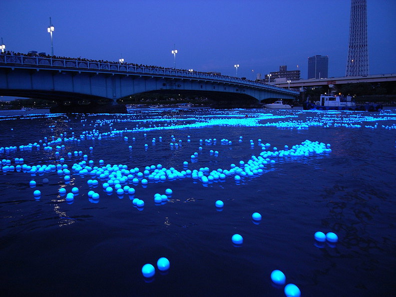 Tokyo-Hotaru-photo-by-Mai-Suzuki-1.jpg