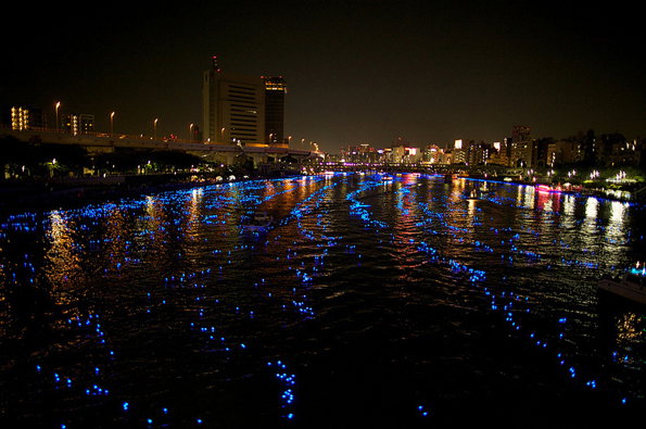 Tokyo-Hotaru-photo-by-JeremyV-2.jpg
