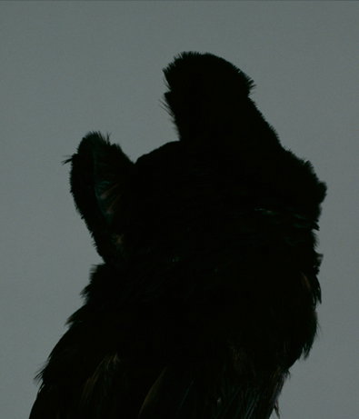 A4.jpg