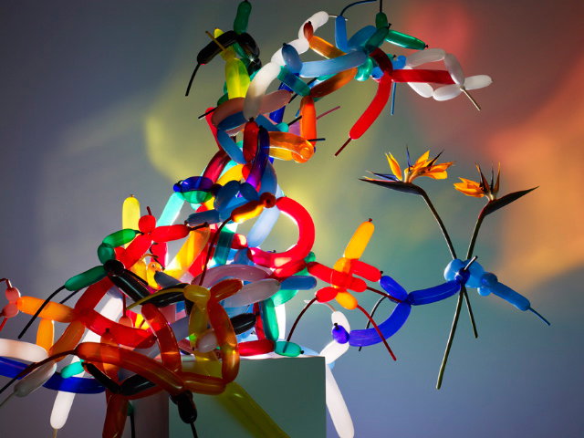 Bird-of-Paradise-x-Modelling-Balloons.jpg