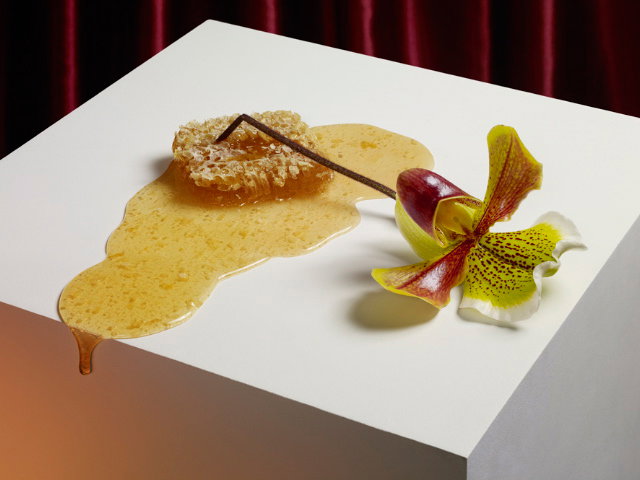 Orchid-x-Honey.jpg