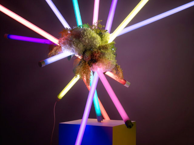 Bouquet-x-Lights.jpg