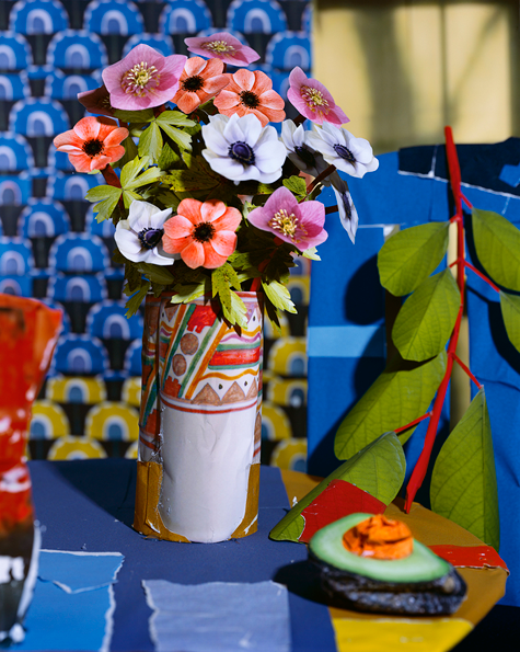 Daniel-Gordon-Anemone_Flowers_and_Avocado.png
