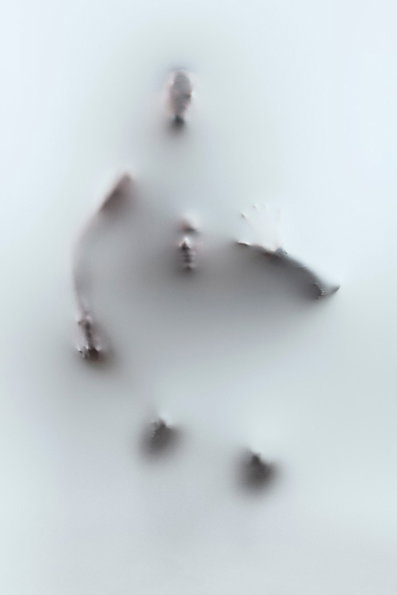 raw-color-DaphnaLaurens_kleur_flat.jpg