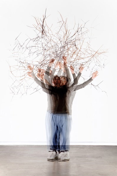 raw-color-temporary_trees-pollardwillow-600px.jpg