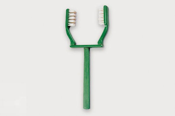 double_toothbrush.jpg