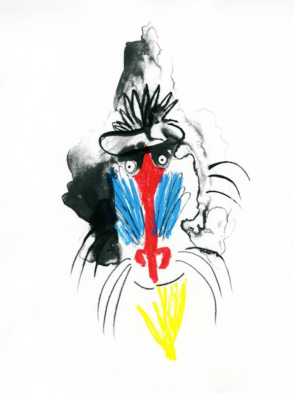 lorna-scobie-Baboon.jpg