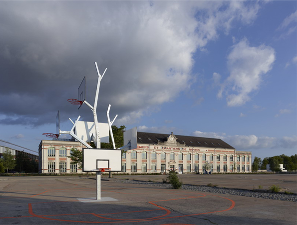 basket-tree-1.png