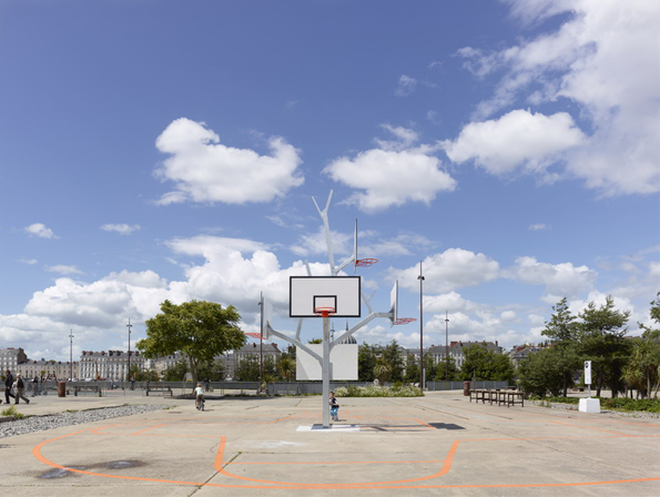 basket-tree-5.png