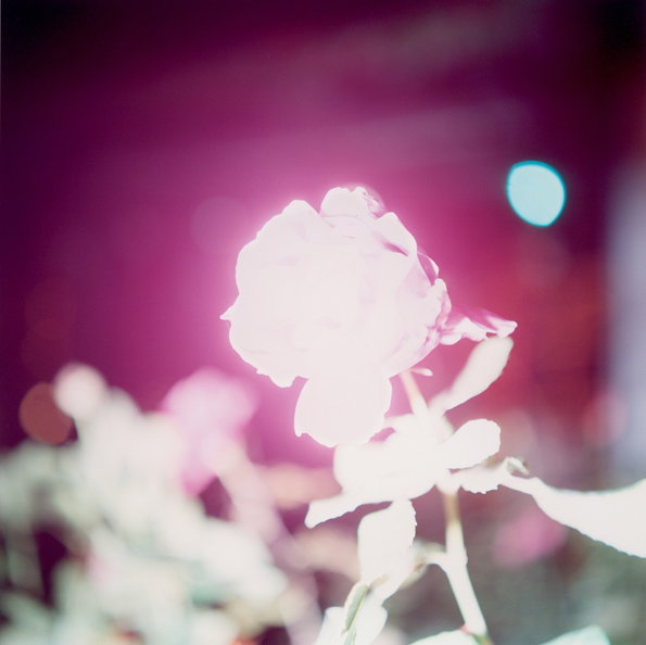 deutsche-borse-Rinko-Kawauchi-2.jpg