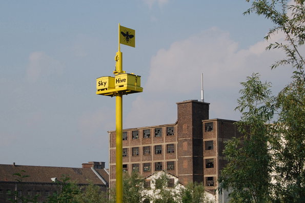 Sky_Hive_02.jpg