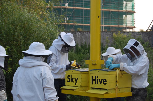 Sky_Hive_06.jpg