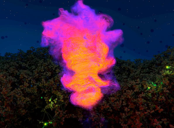 timothy-lapointe-cascade.jpg