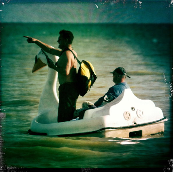 swan5.jpg