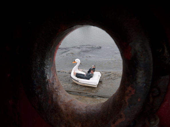 Swan1.jpg