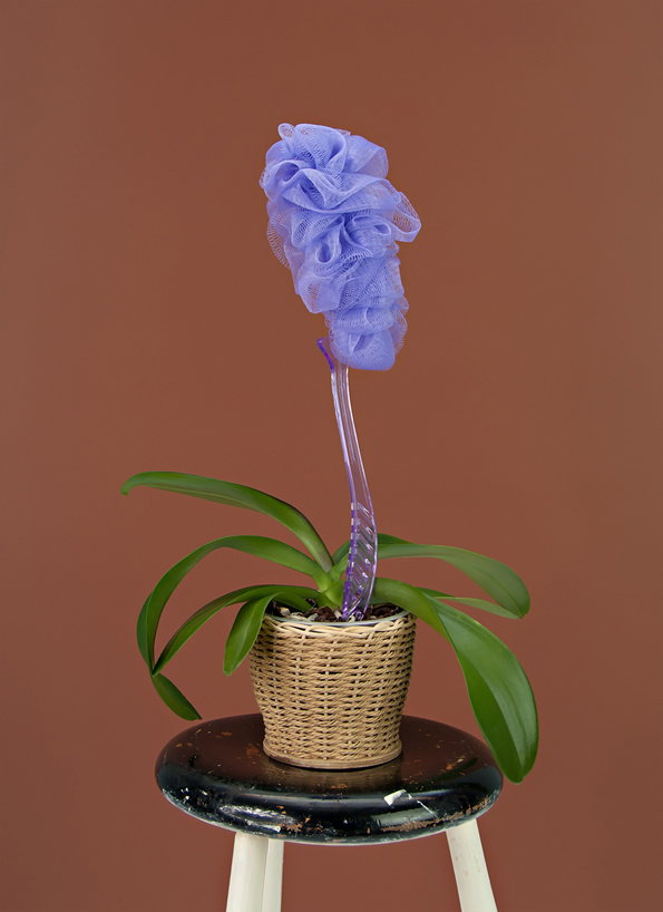 Inflorescence_01.jpg