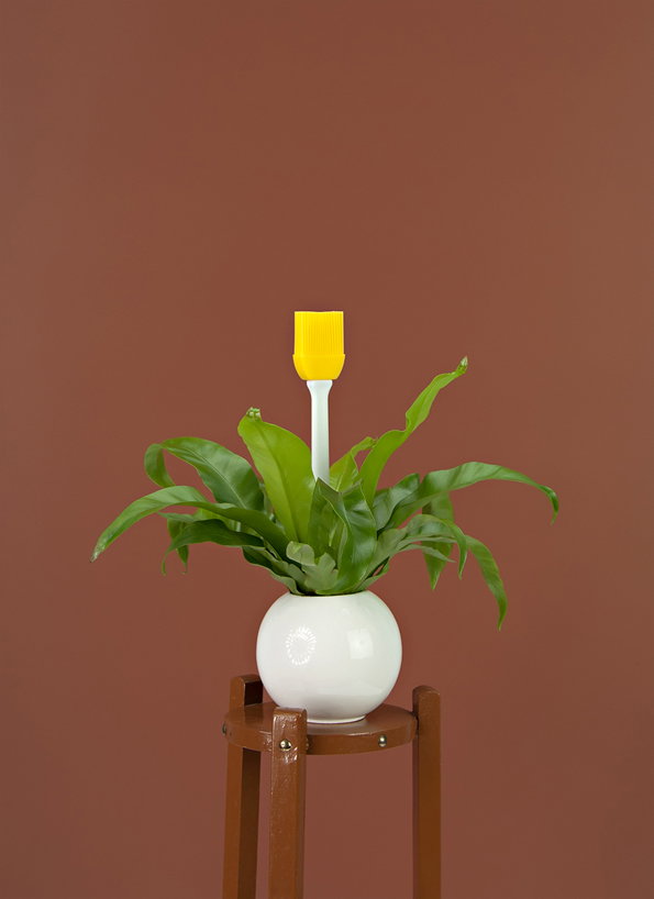 Inflorescence_02.jpg