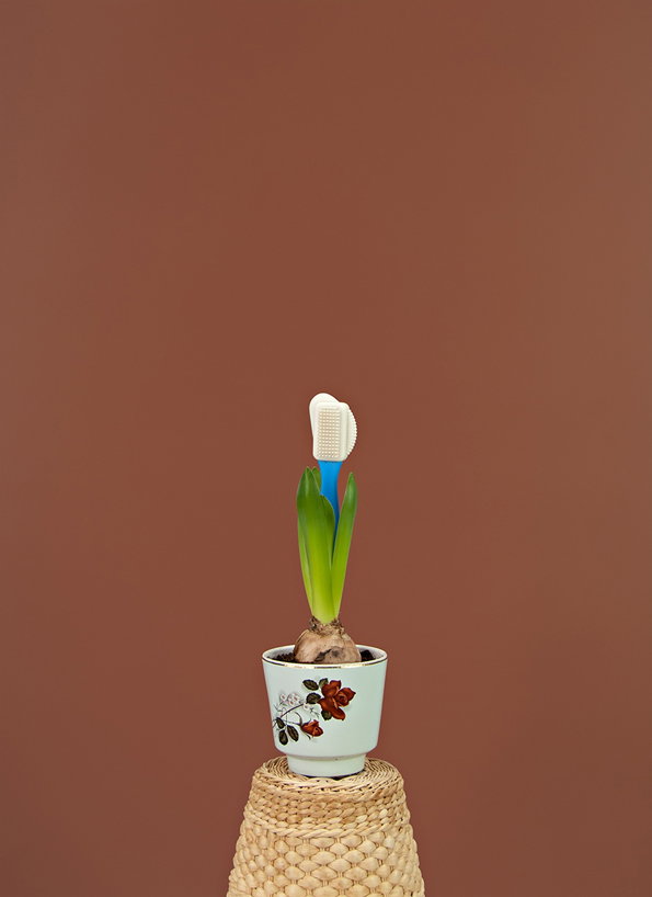 Inflorescence_05.jpg