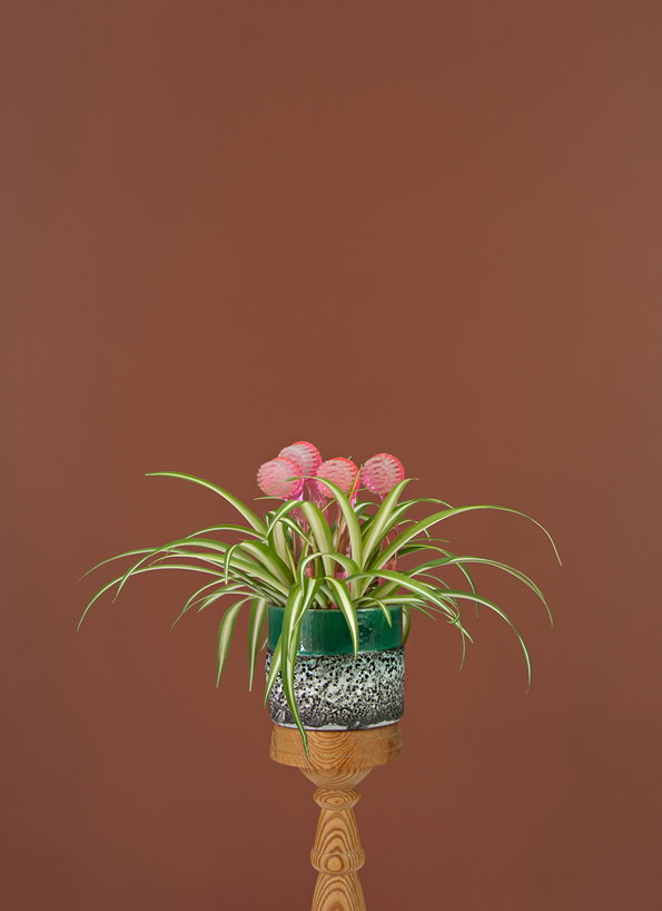 Inflorescence_08.jpg