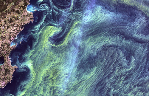 Paint or plankton? NASA's Earth as Art images are pretty mindblowing 