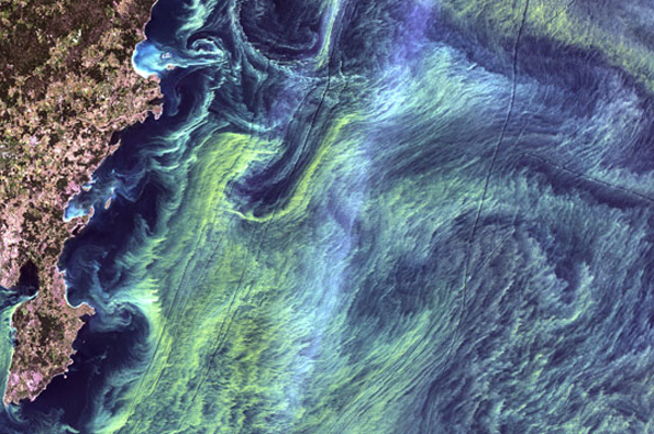 earth-as-art-lead.png