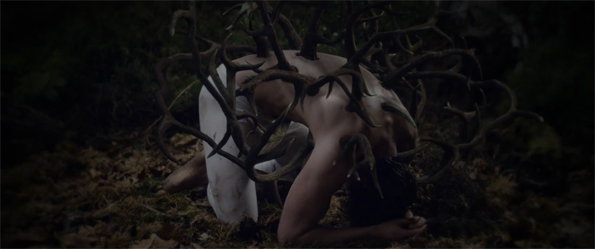metamorphoses-3.jpg